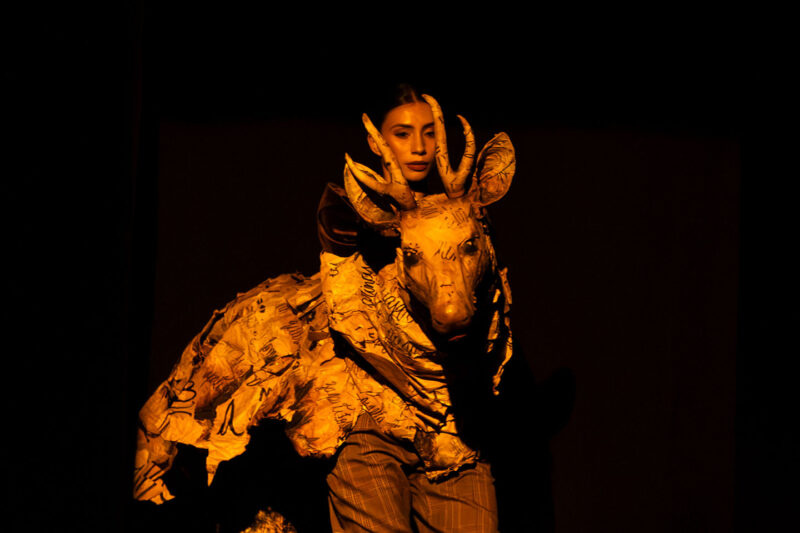 HUEMUL-SOLO